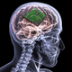 Illustration for article titled You Might Never Upload Your Brain Into a Computer